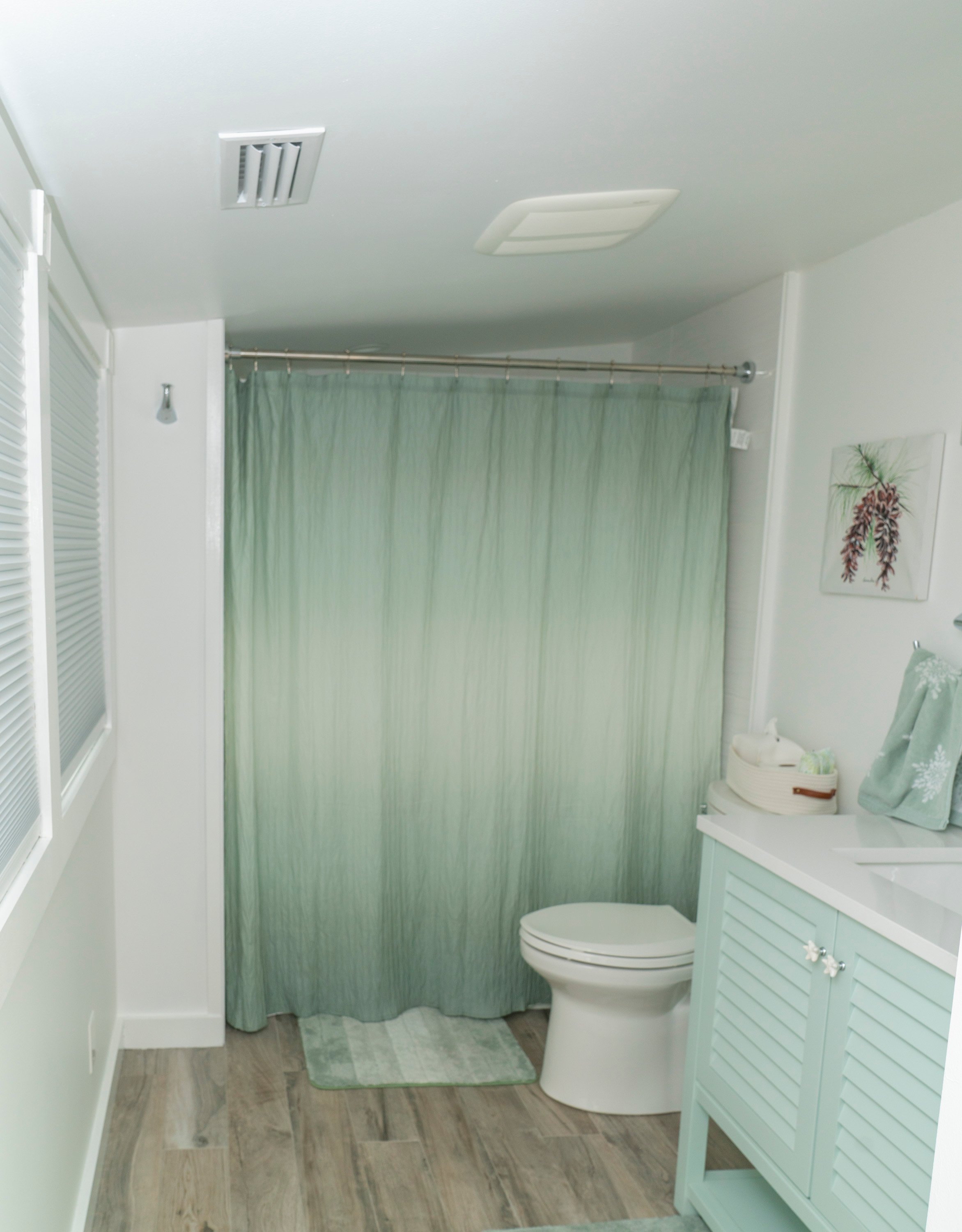bathroom with white walls and green shower curtain
